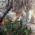 ویلایی. حیاط دار. جنوبی