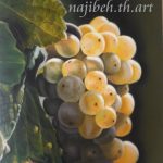 گالری نقاشی یاس