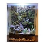 فروشگاه لاله لند، انواع گل های زینتی، تراریوم، پالاداریوم و….