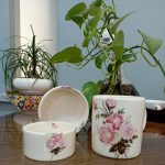 ظروف سرامیکی