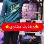 فروشگاه لاله لند. انواع پرنده های زینتی، قفس، غذا