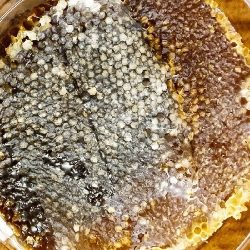 عسل طبیعی لرستان