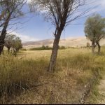 زمین روستای بادرود فیروزکوه(با امکان اقساط یا معاوضه با خودرو)