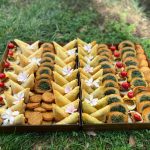 فینگر فود و سبزیجات خورد کرده و سرخ کرده