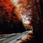 زمین مسکونی