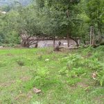 زمین مسکونی