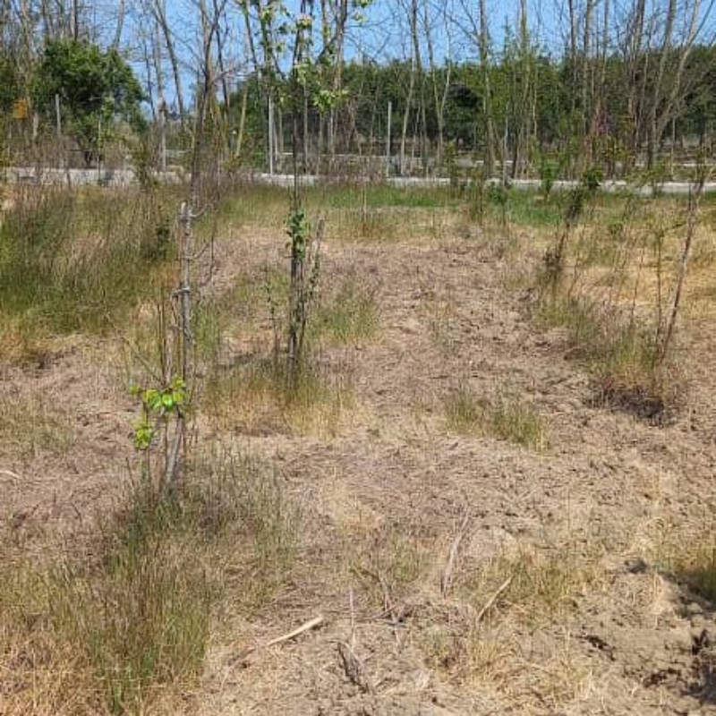 زمین‌باغی‌‌۱۵۲متر