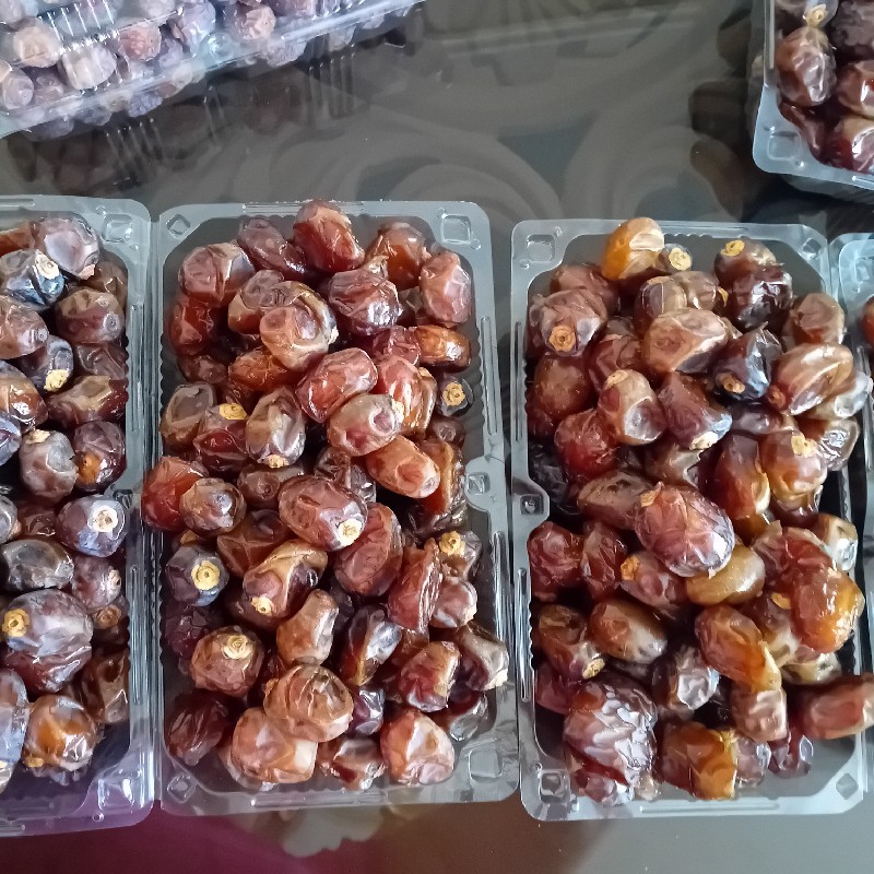 خرما برحی بهترین خرمای خوزستان